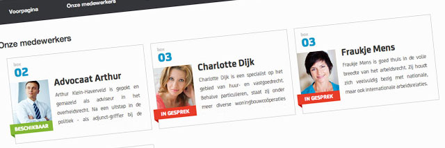 hoe-richt-u-een-succesvolle-consultantlijn-op